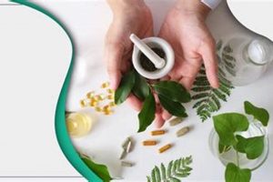 Natural ED Herbal Remedies: Safe Boosts? | The Ultimate Herbal Remedies Guide: Natural Healing for a Healthier Life