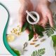 Natural ED Herbal Remedies: Safe Boosts? | The Ultimate Herbal Remedies Guide: Natural Healing for a Healthier Life