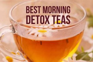 Boost Your Day: Best Herbal Tea for Morning Energy + Tips The Ultimate Herbal Remedies Guide: Natural Healing for a Healthier Life Boost Your Day: Best Herbal Tea for Morning Energy + Tips | The Ultimate Herbal Remedies Guide: Natural Healing for a Healthier Life