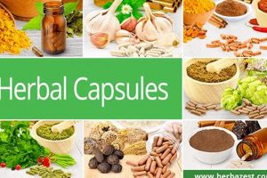 Top Herbal Supplements List: Benefits &amp; Guide | The Ultimate Herbal Remedies Guide: Natural Healing for a Healthier Life