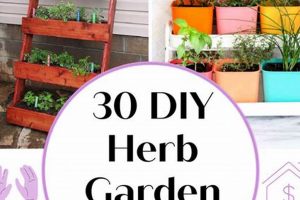 Easy DIY Herbal Garden Ideas + Tips for Beginners! The Ultimate Herbal Remedies Guide: Natural Healing for a Healthier Life Easy DIY Herbal Garden Ideas + Tips for Beginners! | The Ultimate Herbal Remedies Guide: Natural Healing for a Healthier Life