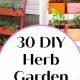 Easy DIY Herbal Garden Ideas + Tips for Beginners! | The Ultimate Herbal Remedies Guide: Natural Healing for a Healthier Life