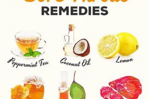 Quick Relief: Best Herbal Remedy for Sore Throat Today | The Ultimate Herbal Remedies Guide: Natural Healing for a Healthier Life