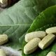 Natural Herbals: Herbal Tablet Benefits & Uses | The Ultimate Herbal Remedies Guide: Natural Healing for a Healthier Life