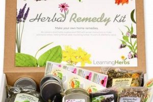 DIY Herbal Remedy Kit: Natural Home Remedies | The Ultimate Herbal Remedies Guide: Natural Healing for a Healthier Life