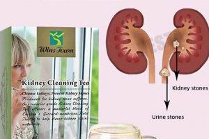 Can Herbal Tea Prevent Kidney Stones? Risks & Benefits The Ultimate Herbal Remedies Guide: Natural Healing for a Healthier Life Can Herbal Tea Prevent Kidney Stones? Risks & Benefits | The Ultimate Herbal Remedies Guide: Natural Healing for a Healthier Life