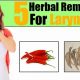 Best Herbal Treatment for Laryngitis: Natural Relief | The Ultimate Herbal Remedies Guide: Natural Healing for a Healthier Life