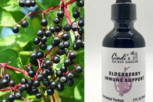 Boost Immunity: Elderberry Herbal Benefits & Uses | The Ultimate Herbal Remedies Guide: Natural Healing for a Healthier Life