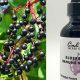 Boost Immunity: Elderberry Herbal Benefits & Uses | The Ultimate Herbal Remedies Guide: Natural Healing for a Healthier Life