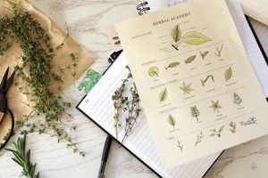 Unlock Herbs: Herbal Academy Free Course Intro! | The Ultimate Herbal Remedies Guide: Natural Healing for a Healthier Life