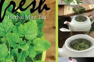 The Best Herbal Mint Tea Recipe: Refresh & Relax | The Ultimate Herbal Remedies Guide: Natural Healing for a Healthier Life