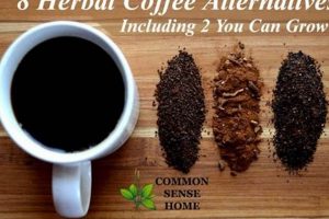 Discover the Best Herbal Coffee Alternatives Today! | The Ultimate Herbal Remedies Guide: Natural Healing for a Healthier Life