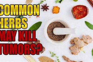 Boost Herbal Cancer Treatment: Options & Info The Ultimate Herbal Remedies Guide: Natural Healing for a Healthier Life Boost Herbal Cancer Treatment: Options & Info | The Ultimate Herbal Remedies Guide: Natural Healing for a Healthier Life