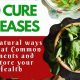 Natural Herbal Cure: Remedies &amp; Benefits | The Ultimate Herbal Remedies Guide: Natural Healing for a Healthier Life