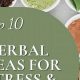 Calm in a Cup: Best Herbal Tea for Stress & Anxiety Relief | The Ultimate Herbal Remedies Guide: Natural Healing for a Healthier Life