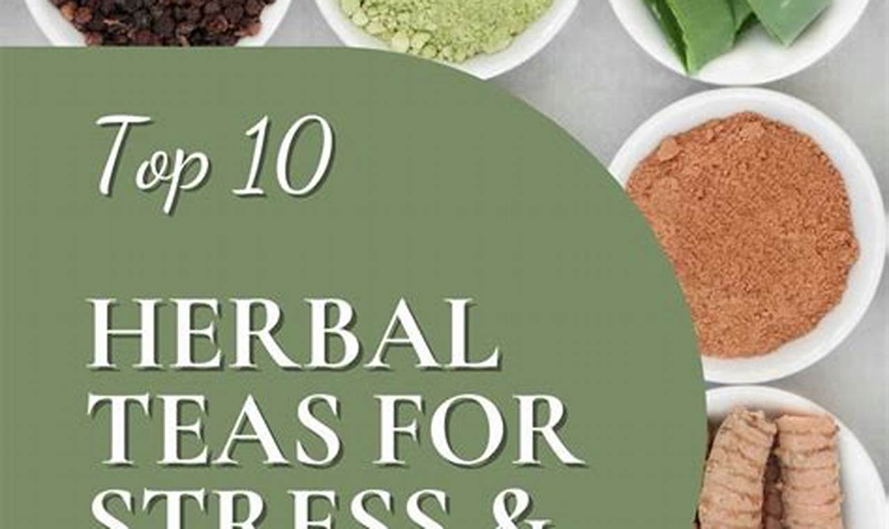 Calm in a Cup: Best Herbal Tea for Stress & Anxiety Relief The Ultimate Herbal Remedies Guide: Natural Healing for a Healthier Life Calm in a Cup: Best Herbal Tea for Stress & Anxiety Relief | The Ultimate Herbal Remedies Guide: Natural Healing for a Healthier Life