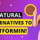 Best Herbal Alternative to Metformin: Natural Options | The Ultimate Herbal Remedies Guide: Natural Healing for a Healthier Life