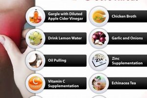 Top Best Herbal for Sore Throat: Relief Tips Now! The Ultimate Herbal Remedies Guide: Natural Healing for a Healthier Life Top Best Herbal for Sore Throat: Relief Tips Now! | The Ultimate Herbal Remedies Guide: Natural Healing for a Healthier Life