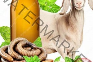 Natural Herbal Goat Wormer: Safe & Effective + The Ultimate Herbal Remedies Guide: Natural Healing for a Healthier Life Natural Herbal Goat Wormer: Safe & Effective + | The Ultimate Herbal Remedies Guide: Natural Healing for a Healthier Life