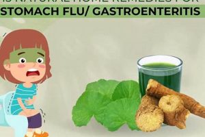 Natural Herbal Remedies for Stomach Flu Relief | The Ultimate Herbal Remedies Guide: Natural Healing for a Healthier Life