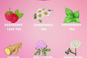 Best Herbal Teas for Period Relief: Soothe & Comfort The Ultimate Herbal Remedies Guide: Natural Healing for a Healthier Life Best Herbal Teas for Period Relief: Soothe & Comfort | The Ultimate Herbal Remedies Guide: Natural Healing for a Healthier Life