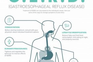 Natural GERD Herbal Treatment: Relief & Remedies The Ultimate Herbal Remedies Guide: Natural Healing for a Healthier Life Natural GERD Herbal Treatment: Relief & Remedies | The Ultimate Herbal Remedies Guide: Natural Healing for a Healthier Life