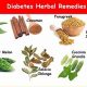 Best Herbal Med for Diabetes: Natural & Effective | The Ultimate Herbal Remedies Guide: Natural Healing for a Healthier Life
