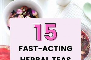 Boost Fertility: Herbal Teas That Help + Recipes | The Ultimate Herbal Remedies Guide: Natural Healing for a Healthier Life
