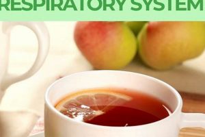 Breathe Easy: Best Herbal Teas for Respiratory Health | The Ultimate Herbal Remedies Guide: Natural Healing for a Healthier Life