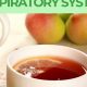 Breathe Easy: Best Herbal Teas for Respiratory Health | The Ultimate Herbal Remedies Guide: Natural Healing for a Healthier Life