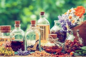 Ancient Herbal Tinctures: Your Natural Remedies The Ultimate Herbal Remedies Guide: Natural Healing for a Healthier Life Ancient Herbal Tinctures: Your Natural Remedies | The Ultimate Herbal Remedies Guide: Natural Healing for a Healthier Life