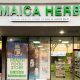Explore Jamaica Herbal North Lauderdale Find Herbs | The Ultimate Herbal Remedies Guide: Natural Healing for a Healthier Life