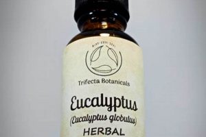 Natural Eucalyptus Herbal Remedies: Benefits & Uses | The Ultimate Herbal Remedies Guide: Natural Healing for a Healthier Life