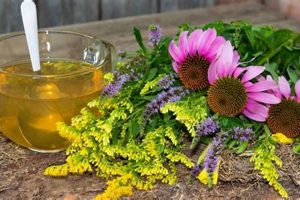 Best Herbal Tea for Coughing: Natural Cough Relief | The Ultimate Herbal Remedies Guide: Natural Healing for a Healthier Life