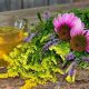 Best Herbal Tea for Coughing: Natural Cough Relief | The Ultimate Herbal Remedies Guide: Natural Healing for a Healthier Life