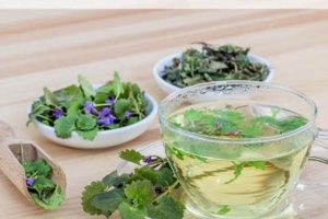 Top Herbal Tea Brands: Your Best, Natural Tea Guide | The Ultimate Herbal Remedies Guide: Natural Healing for a Healthier Life