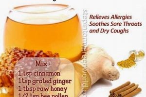 Best Natural Herbal Remedies for Allergies Relief Today | The Ultimate Herbal Remedies Guide: Natural Healing for a Healthier Life