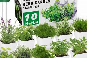 Grow Your Own! Herbal Garden Kit: Easy & Fresh | The Ultimate Herbal Remedies Guide: Natural Healing for a Healthier Life