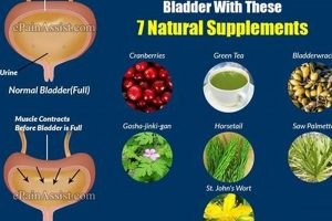 Natural Herbal Treatment for Bladder Infection Relief | The Ultimate Herbal Remedies Guide: Natural Healing for a Healthier Life