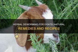 Natural Herbal Dewormer for Goats: A Complete Guide + Tips | The Ultimate Herbal Remedies Guide: Natural Healing for a Healthier Life