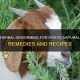 Natural Herbal Dewormer for Goats: A Complete Guide + Tips | The Ultimate Herbal Remedies Guide: Natural Healing for a Healthier Life