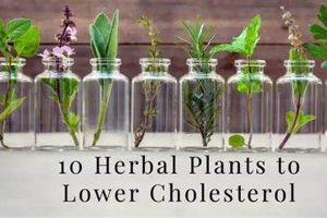Best Lower Cholesterol Herbals: Naturally Better | The Ultimate Herbal Remedies Guide: Natural Healing for a Healthier Life