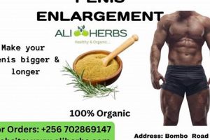 Boost: Herbal Penile Enhancement - Safe Options? | The Ultimate Herbal Remedies Guide: Natural Healing for a Healthier Life