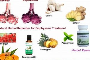 Natural Emphysema Herbal Treatment: Relief &amp; Support | The Ultimate Herbal Remedies Guide: Natural Healing for a Healthier Life