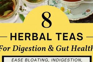 Top Teas: Best Herbal Tea for Digestion Relief + Tips | The Ultimate Herbal Remedies Guide: Natural Healing for a Healthier Life