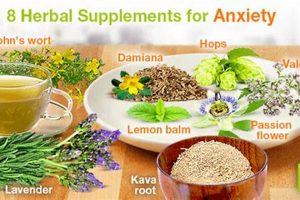 Best Herbal Supplements for Anxiety Relief Now | The Ultimate Herbal Remedies Guide: Natural Healing for a Healthier Life