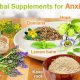 Best Herbal Supplements for Anxiety Relief Now | The Ultimate Herbal Remedies Guide: Natural Healing for a Healthier Life