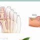 Top: Best Herbal Remedy for Gout Relief [Guide] | The Ultimate Herbal Remedies Guide: Natural Healing for a Healthier Life