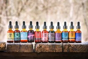 Forest's Gift: Woodland Herbal Remedies Guide | The Ultimate Herbal Remedies Guide: Natural Healing for a Healthier Life