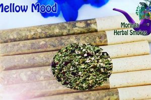Discover Herbal Smokes: Benefits & Risks Explored | The Ultimate Herbal Remedies Guide: Natural Healing for a Healthier Life